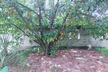 Kampung Bukit Lanchung