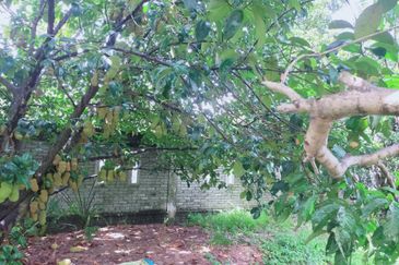 Kampung Bukit Lanchung