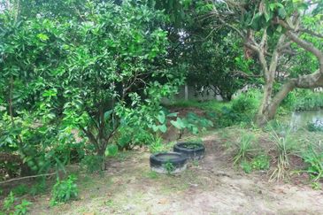 Kampung Bukit Lanchung