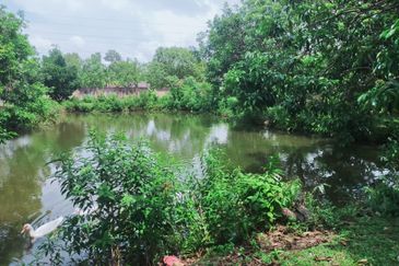 Kampung Bukit Lanchung