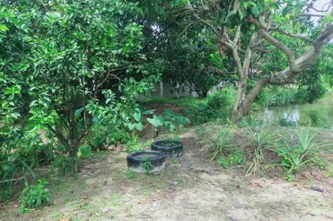 Kampung Bukit Lanchung