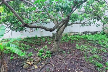 Kampung Bukit Lanchung