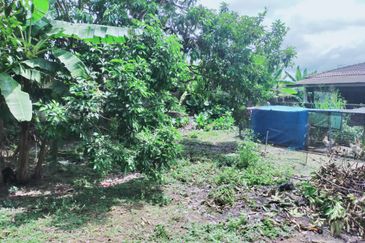 Kampung Bukit Lanchung