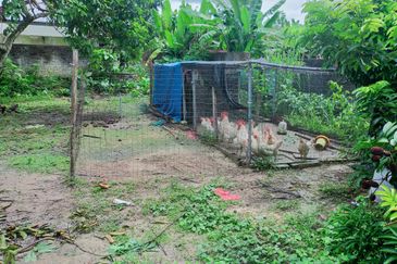 Kampung Bukit Lanchung