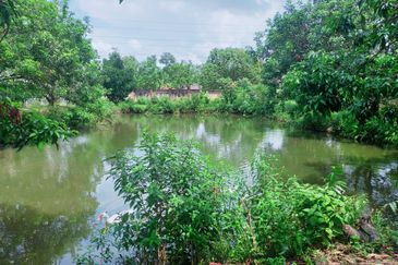 Kampung Bukit Lanchung