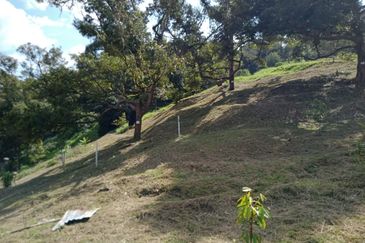 Bentong Batu 6 Jalan Kuala Lumpur Agricultural Land