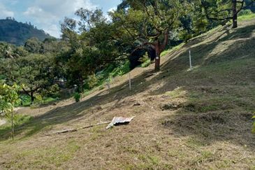 Bentong Batu 6 Jalan Kuala Lumpur Agricultural Land