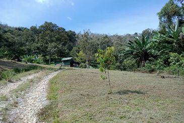 Bentong Batu 6 Jalan Kuala Lumpur Agricultural Land