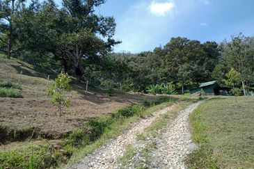 Bentong Batu 6 Jalan Kuala Lumpur Agricultural Land