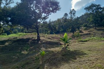 Bentong Batu 6 Jalan Kuala Lumpur Agricultural Land