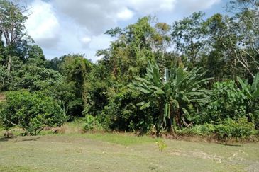 Bentong Batu 6 Jalan Kuala Lumpur Agricultural Land