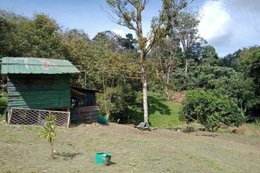Bentong Batu 6 Jalan Kuala Lumpur Agricultural Land