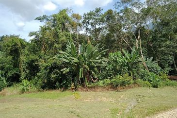 Bentong Batu 6 Jalan Kuala Lumpur Agricultural Land