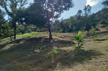 Bentong Batu 6 Jalan Kuala Lumpur Agricultural Land