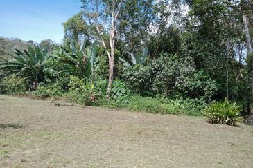 Bentong Batu 6 Jalan Kuala Lumpur Agricultural Land