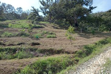 Bentong Batu 6 Jalan Kuala Lumpur Agricultural Land