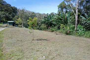 Bentong Batu 6 Jalan Kuala Lumpur Agricultural Land