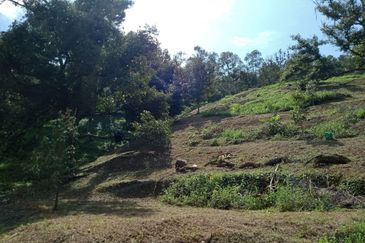 Bentong Batu 6 Jalan Kuala Lumpur Agricultural Land