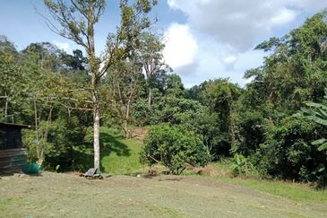 Bentong Batu 6 Jalan Kuala Lumpur Agricultural Land