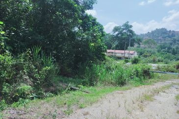 Bentong Jalan Tras Agricultural Land