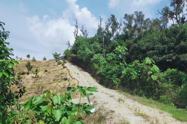 Bentong Jalan Tras Agricultural Land