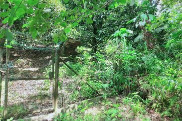 Bentong Jalan Tras Agricultural Land