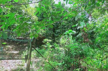 Bentong Jalan Tras Agricultural Land