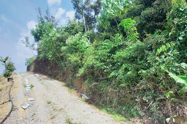 Bentong Jalan Tras Agricultural Land