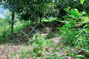 Bentong Jalan Tras Agricultural Land