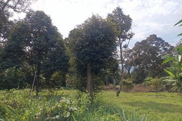 Kampung Mantin Dalam