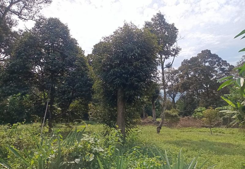 Kampung Mantin Dalam