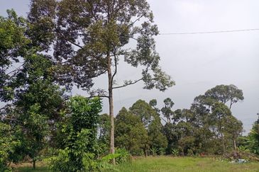 Kampung Mantin Dalam