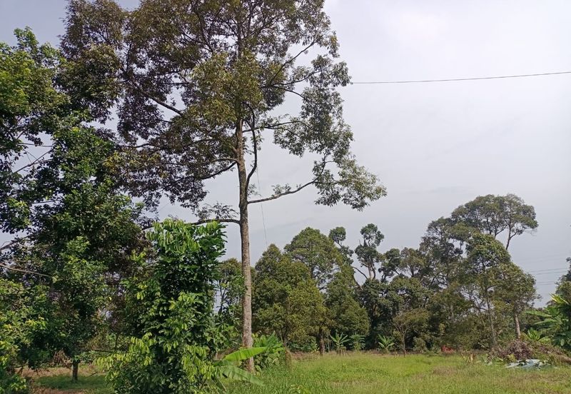 Kampung Mantin Dalam