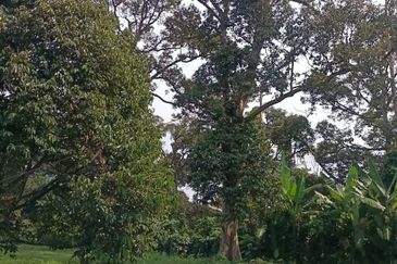 Kampung Mantin Dalam