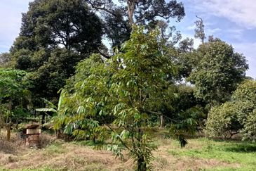 Kampung Mantin Dalam