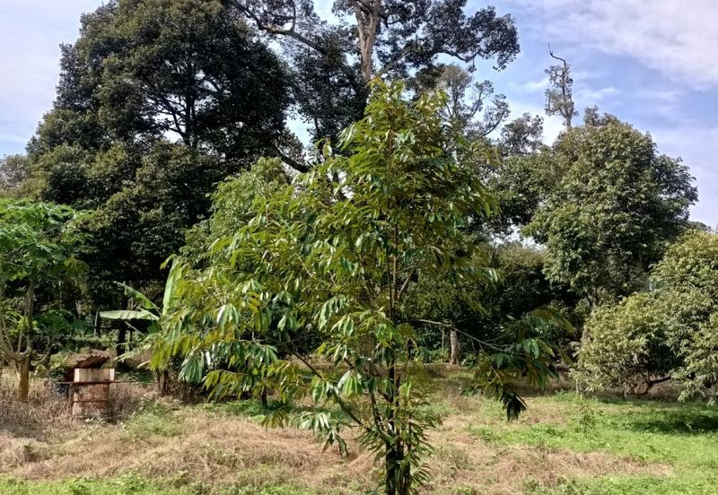Kampung Mantin Dalam