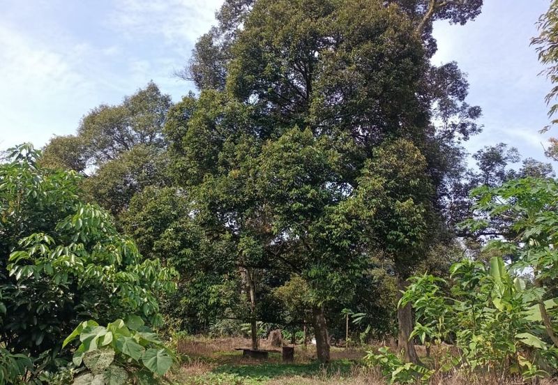 Kampung Mantin Dalam