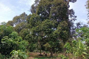 Kampung Mantin Dalam