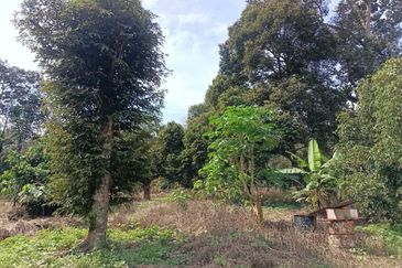 Kampung Mantin Dalam