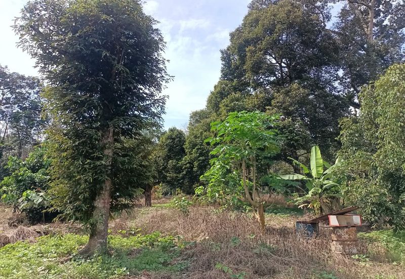 Kampung Mantin Dalam