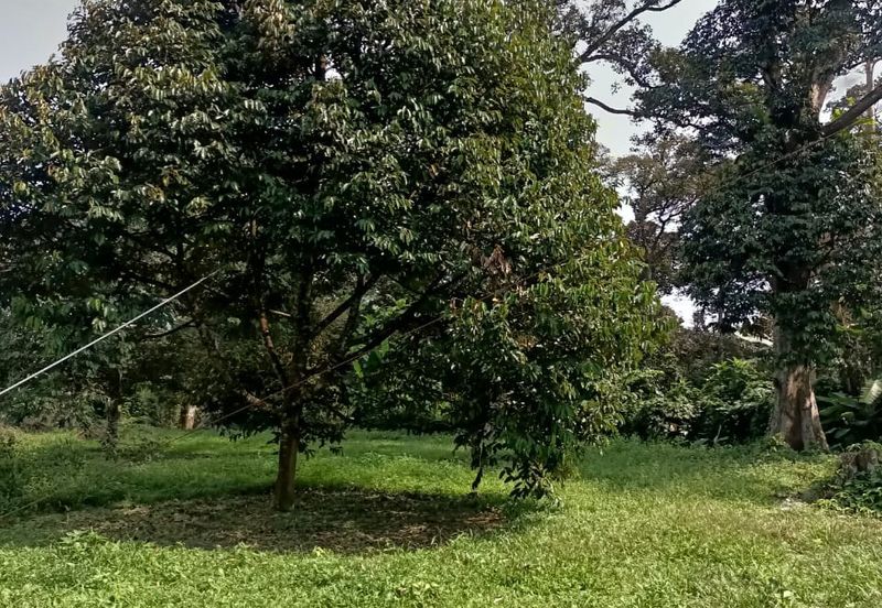 Kampung Mantin Dalam