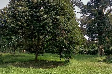 Kampung Mantin Dalam