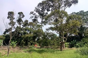 Kampung Mantin Dalam
