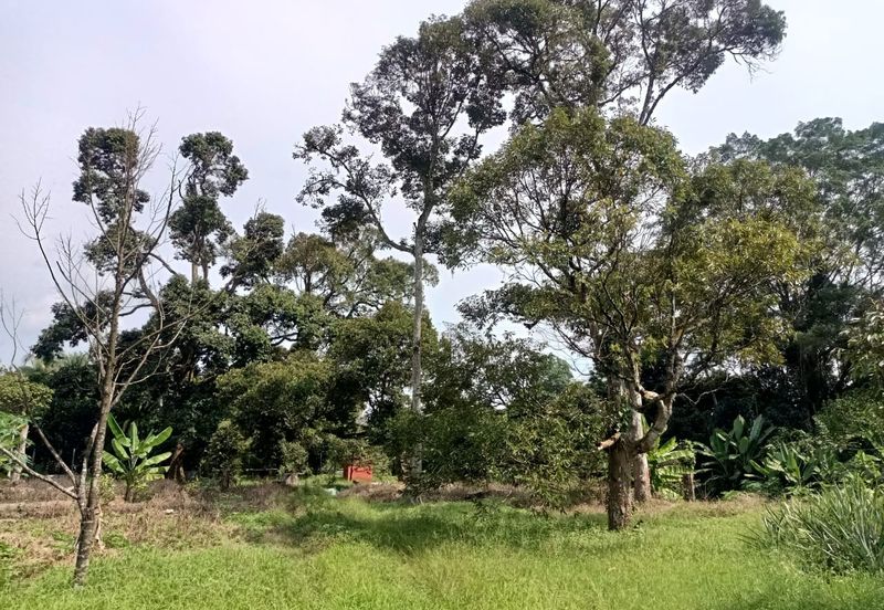 Kampung Mantin Dalam