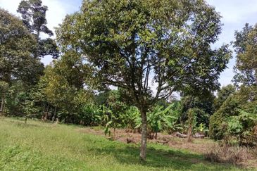 Kampung Mantin Dalam