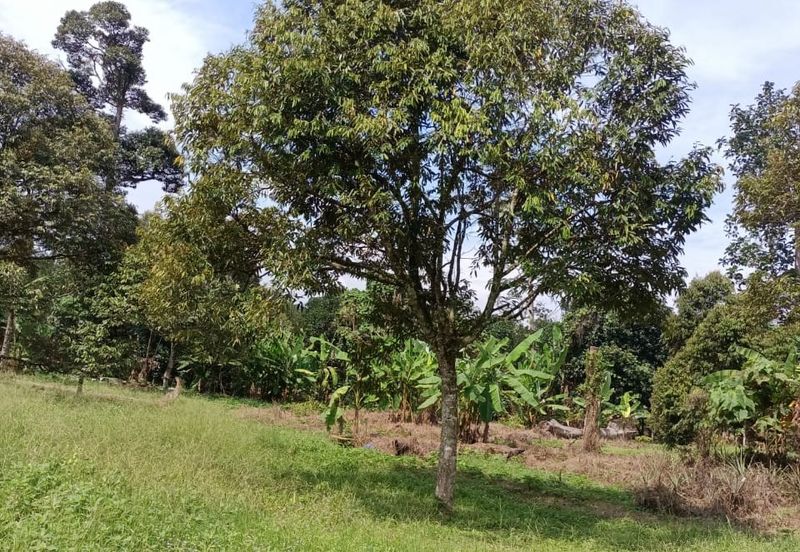 Kampung Mantin Dalam