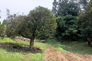 Kampung Mantin Dalam