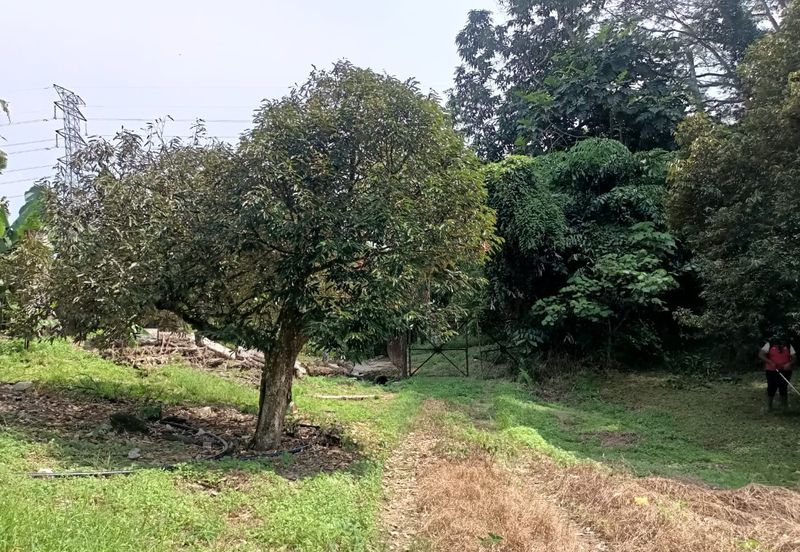 Kampung Mantin Dalam