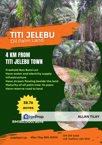 Jelebu Non Bumi Freehold Oil Palm Plantation, Negeri Sembilan, Jelebu