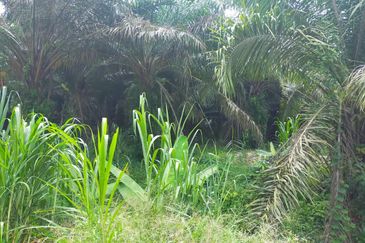 JALAN K.KLAWANG-/TITI